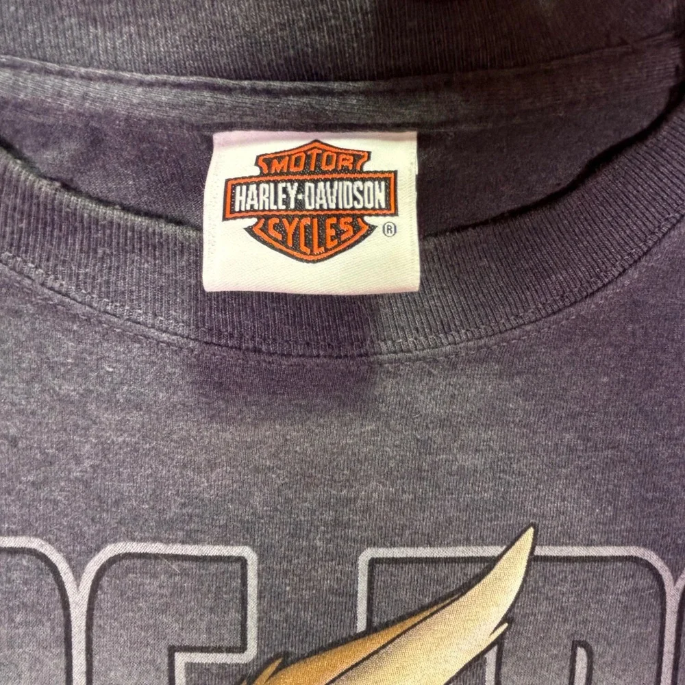 Harley-Davidson Men T-Shirt 2XL Gray Looney Tunes Wile E Coyote Taz Doug's SC